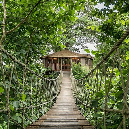 Willa Bensfield Treehouse Wadhurst Zewnętrze zdjęcie